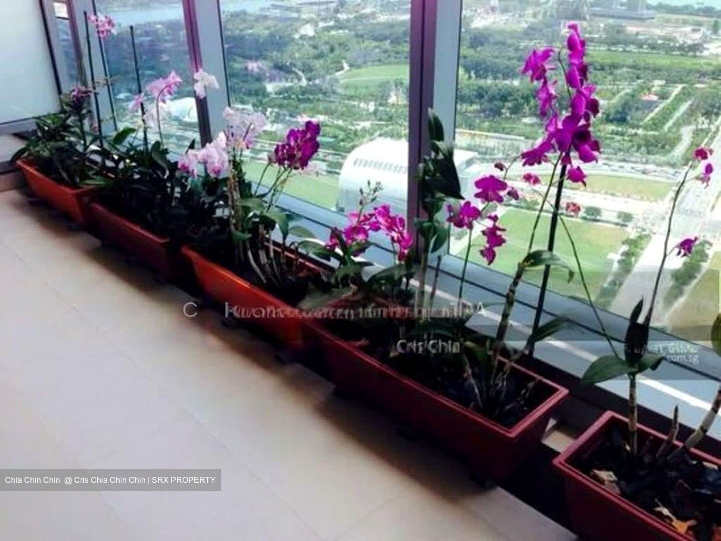 Marina Bay Residences (D1), Condominium #630654601